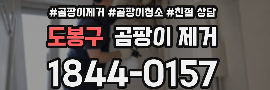 도봉구 곰팡이 제거