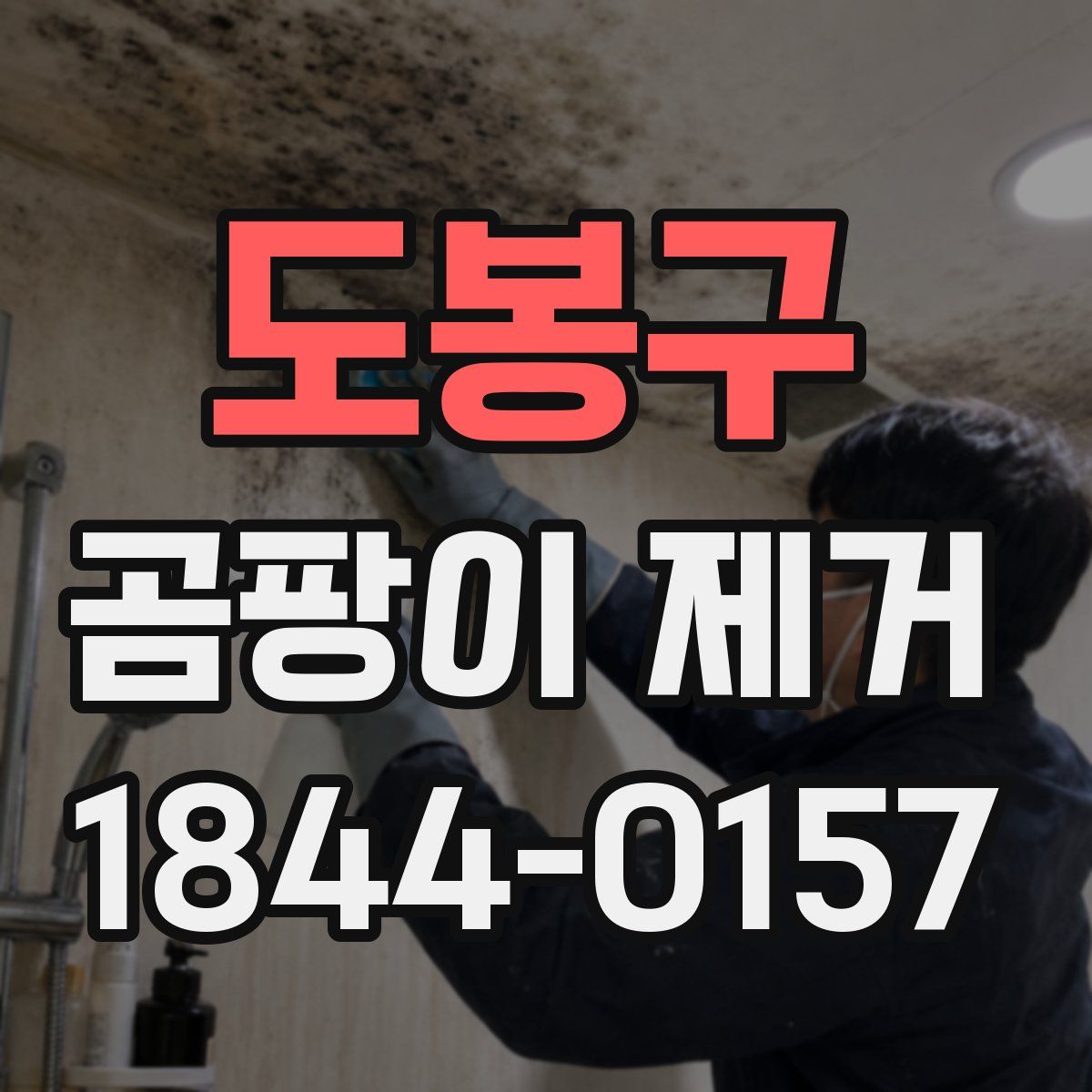 도봉구 곰팡이 제거