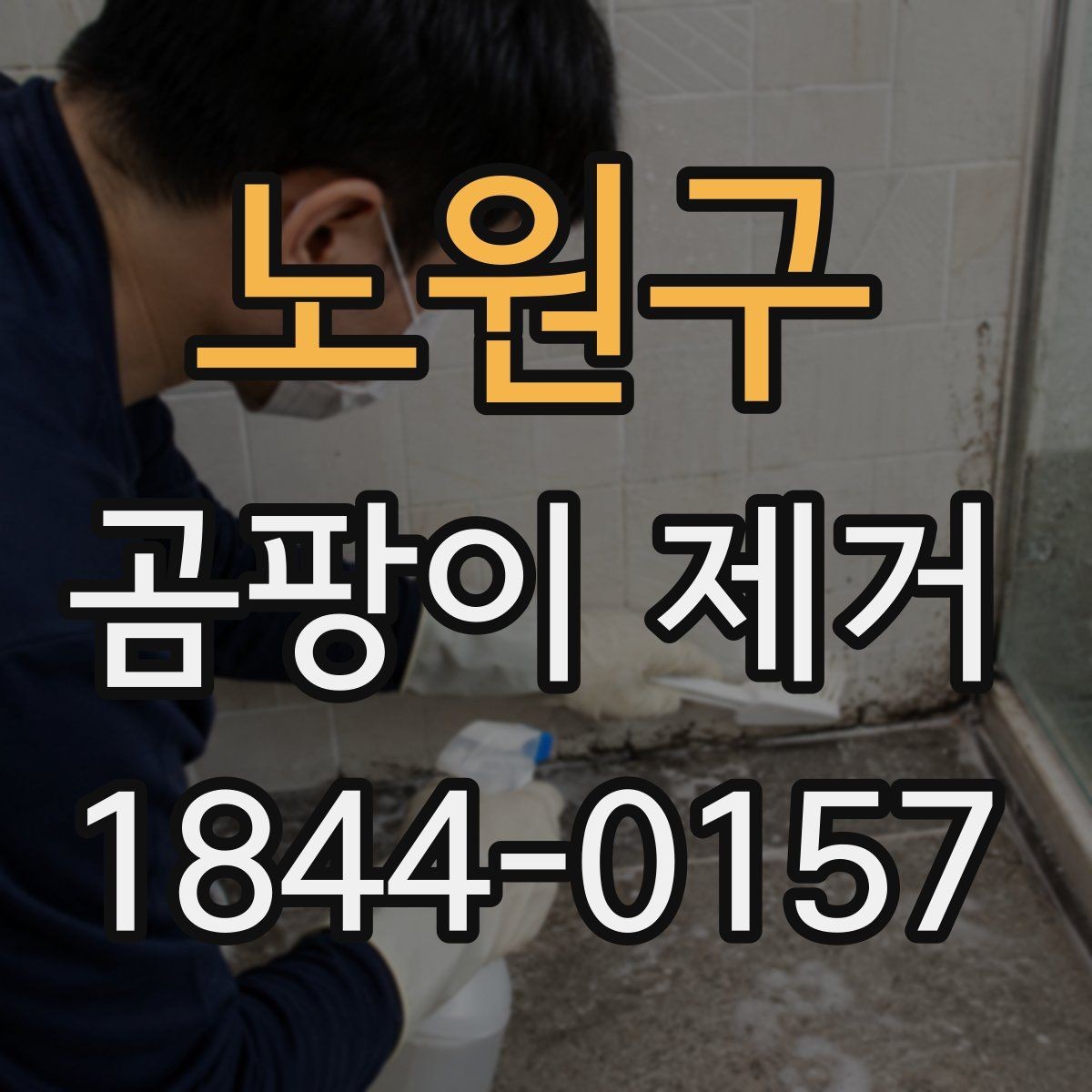노원구 곰팡이 제거 작업은 어떤 순서로 진행될까