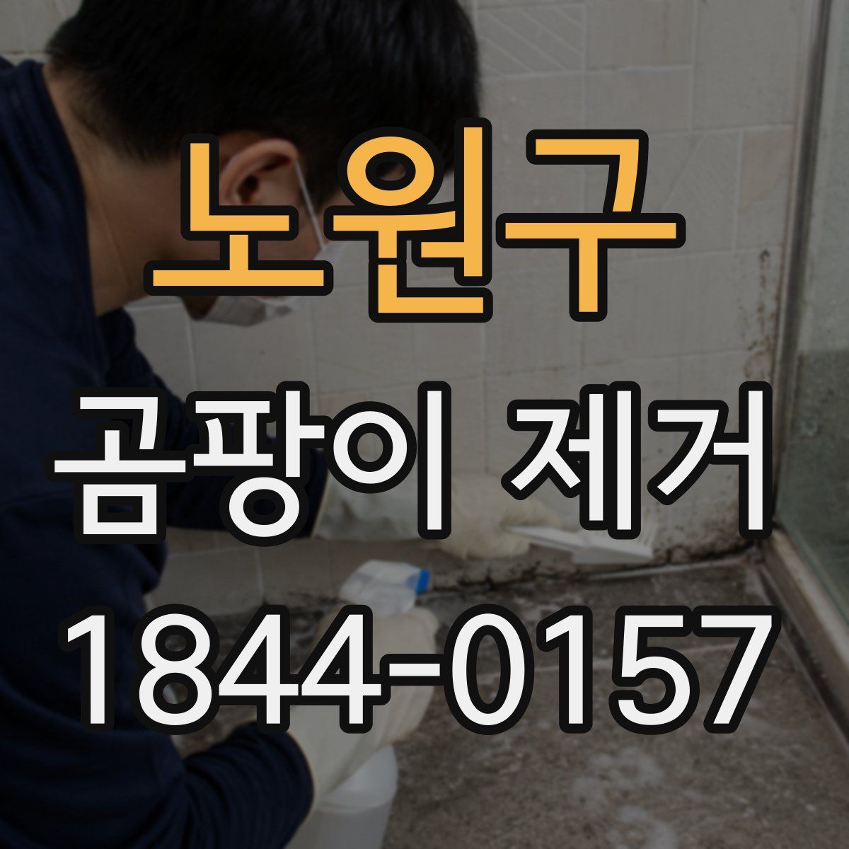 노원구 곰팡이 제거