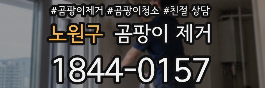 노원구 곰팡이 제거