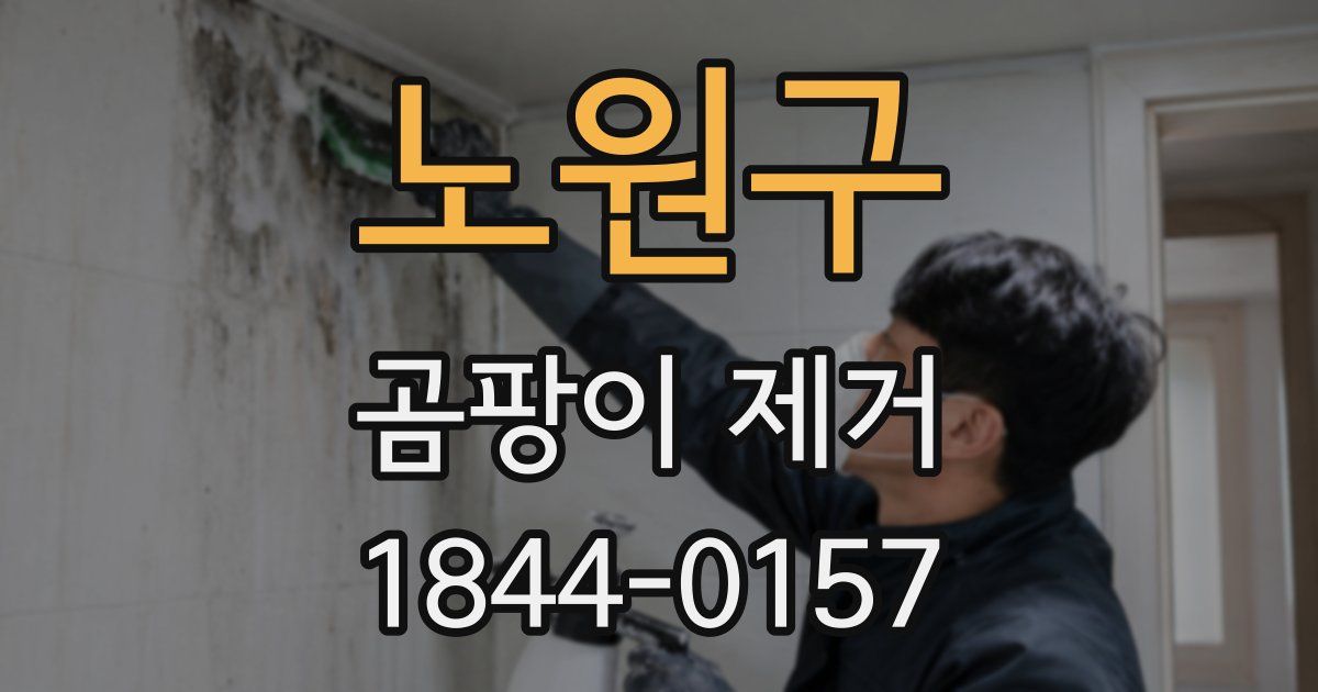 노원구 곰팡이 제거