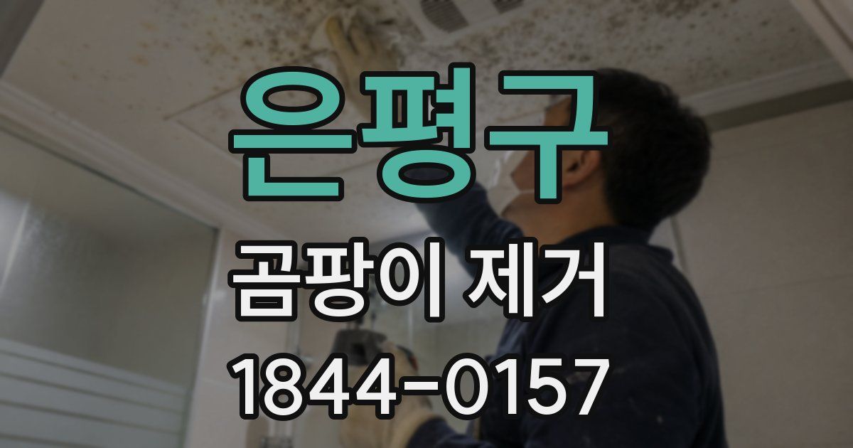 은평구 곰팡이 제거