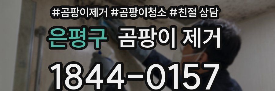 은평구 곰팡이 제거
