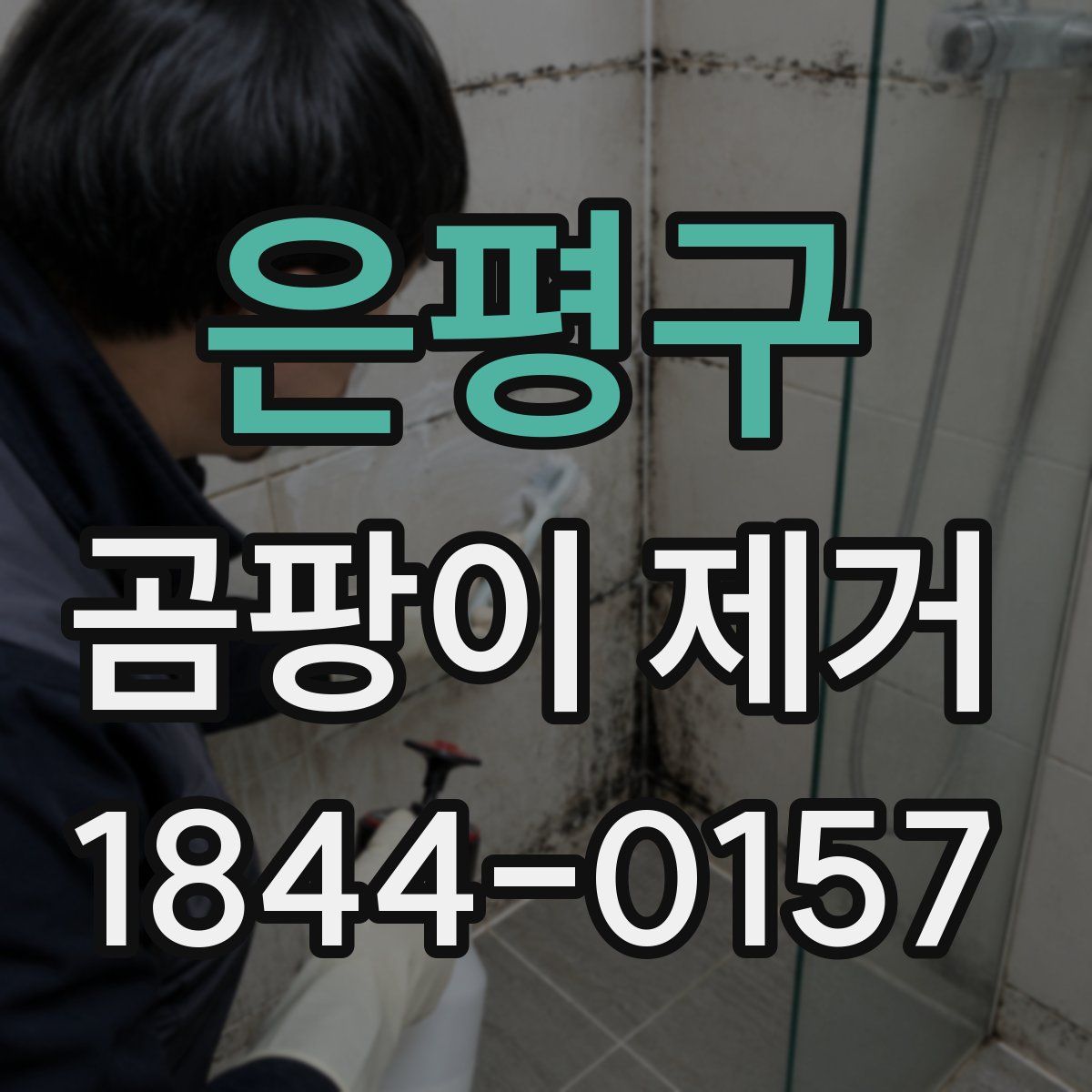 은평구 곰팡이 제거