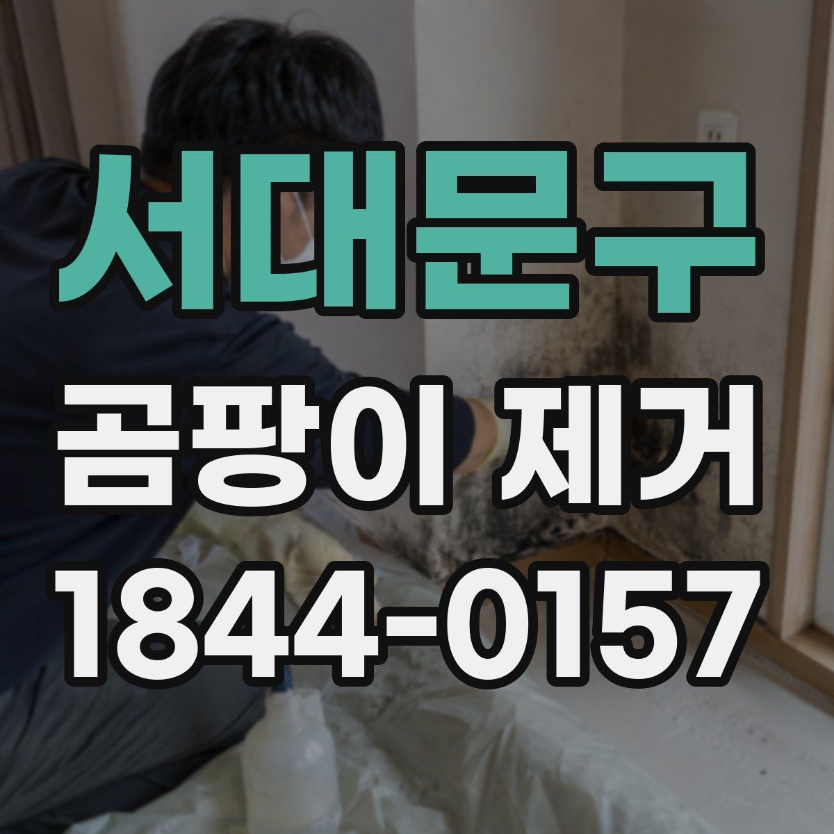 서대문구 곰팡이 제거 대상별로 다른 처리 방식