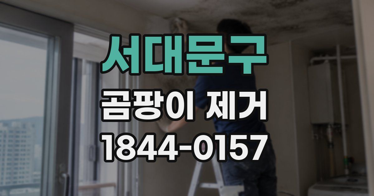 서대문구 곰팡이 제거