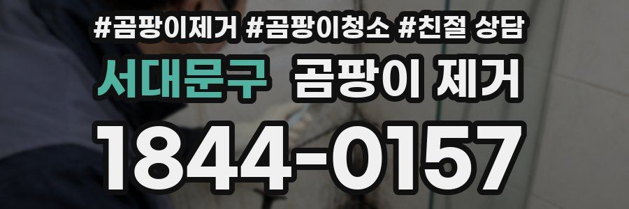 서대문구 곰팡이 제거