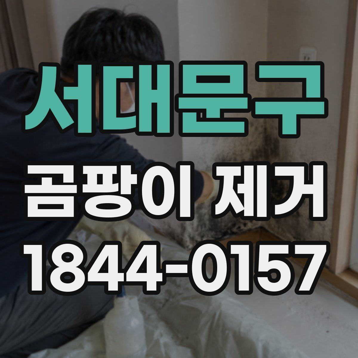 서대문구 곰팡이 제거