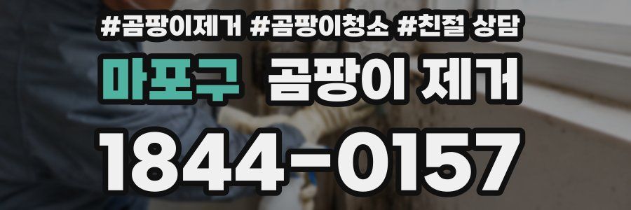 마포구 곰팡이 제거