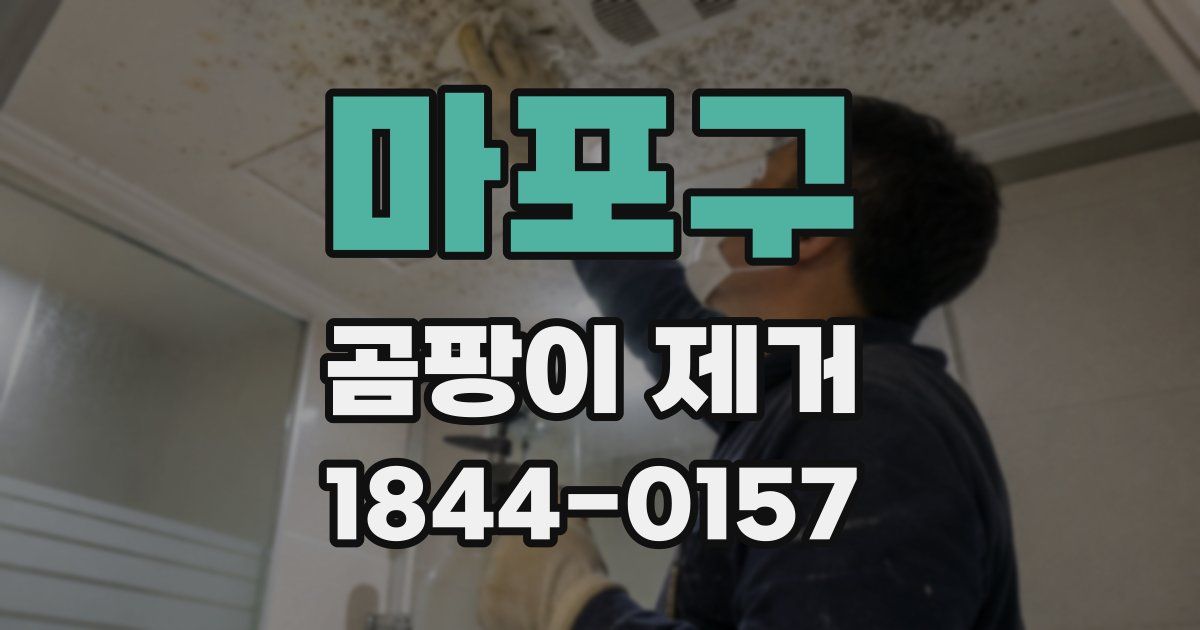 마포구 곰팡이 제거