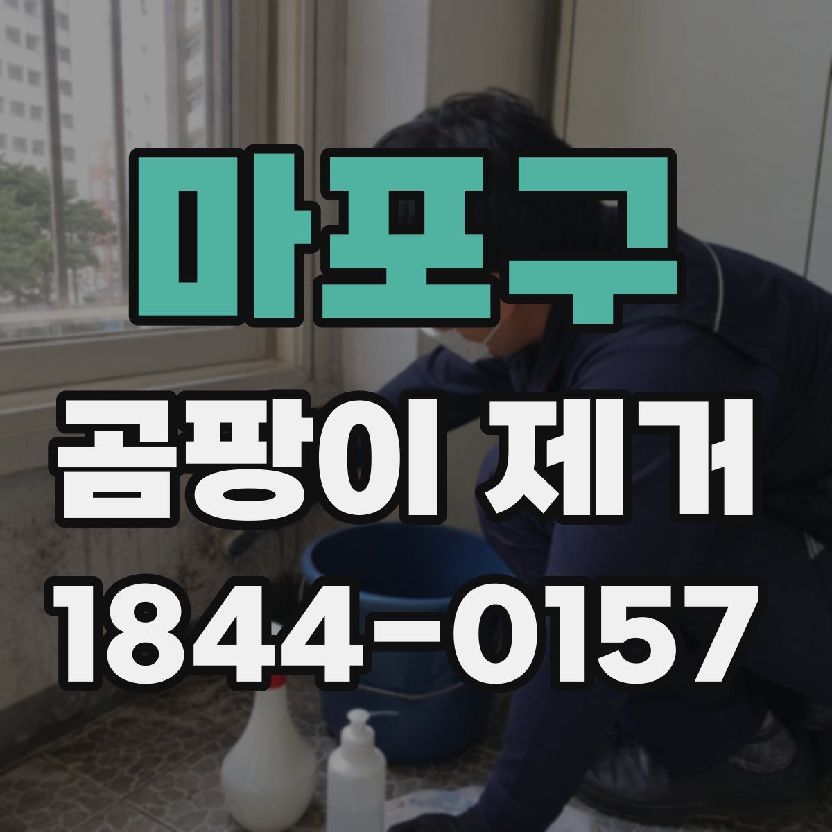 마포구 곰팡이 제거