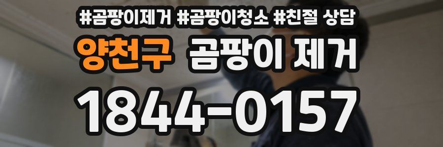 양천구 곰팡이 제거