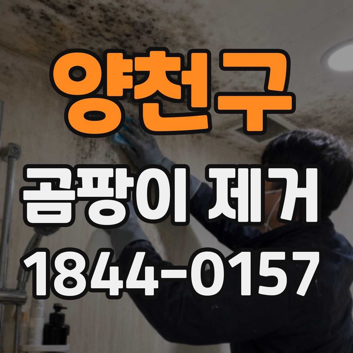 양천구 곰팡이 제거