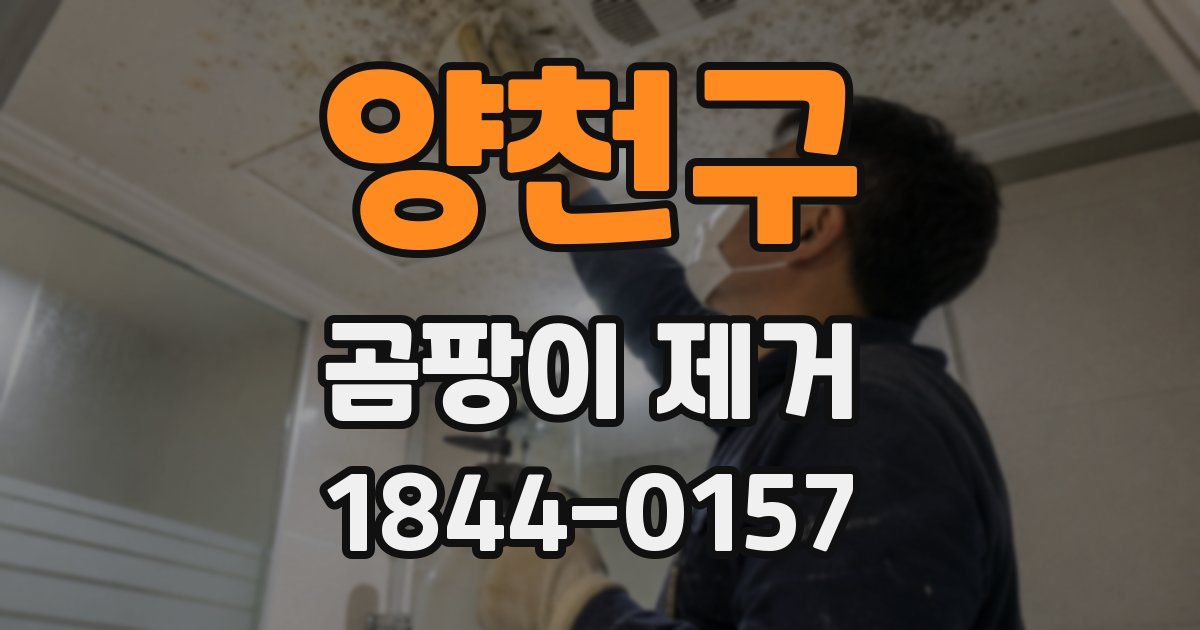 양천구 곰팡이 제거