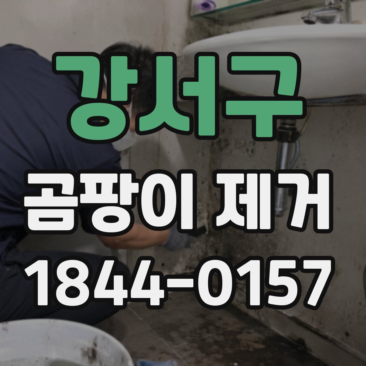 강서구 곰팡이 제거