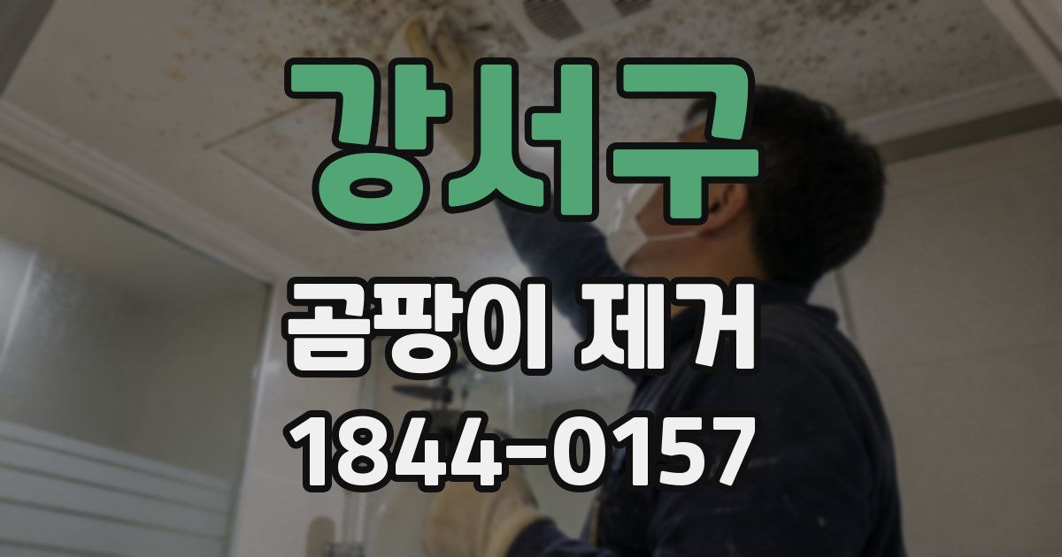 강서구 곰팡이 제거
