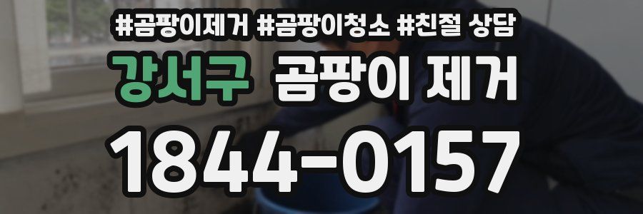 강서구 곰팡이 제거
