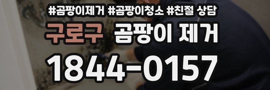 구로구 곰팡이 제거