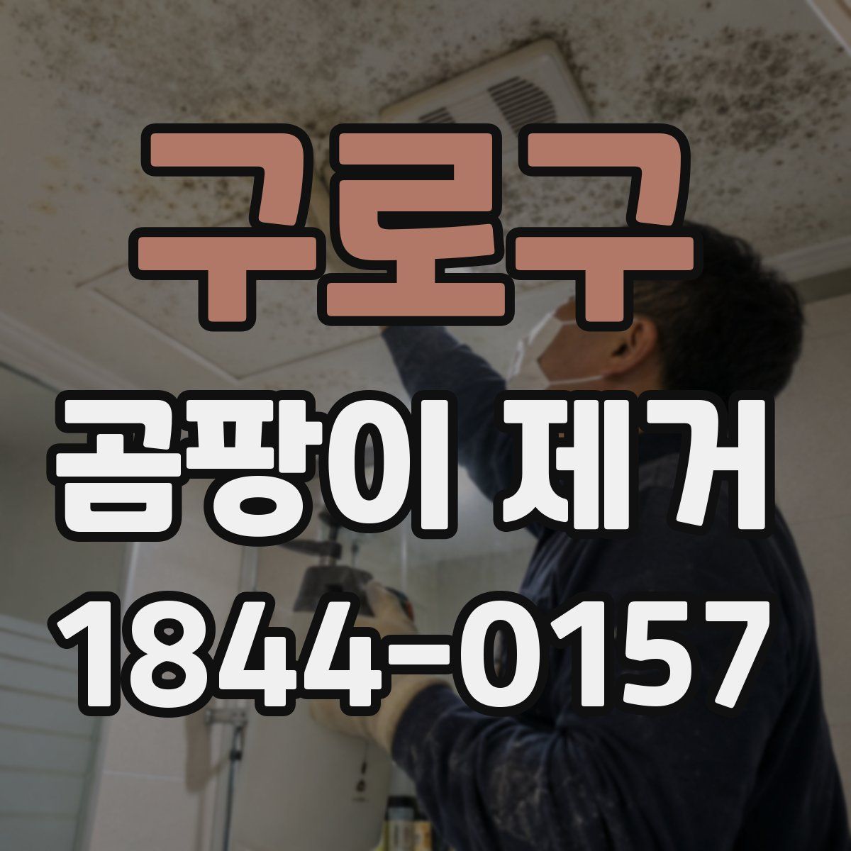 구로구 곰팡이 제거