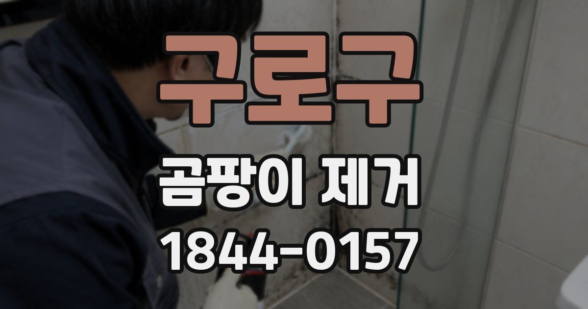 구로구 곰팡이 제거