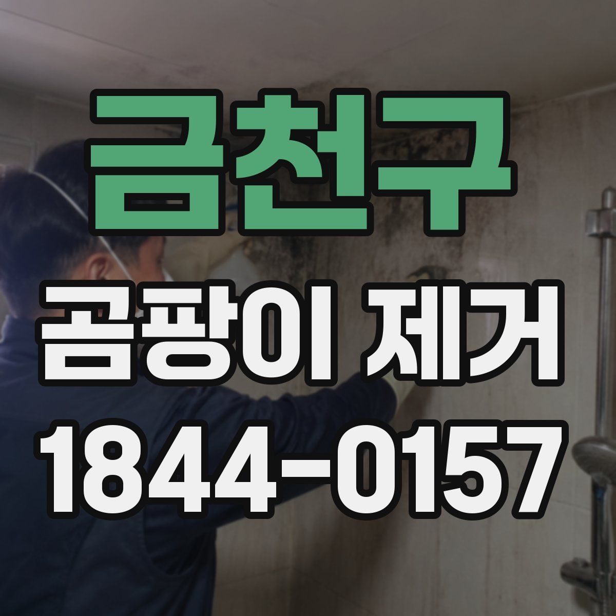 금천구 곰팡이 제거