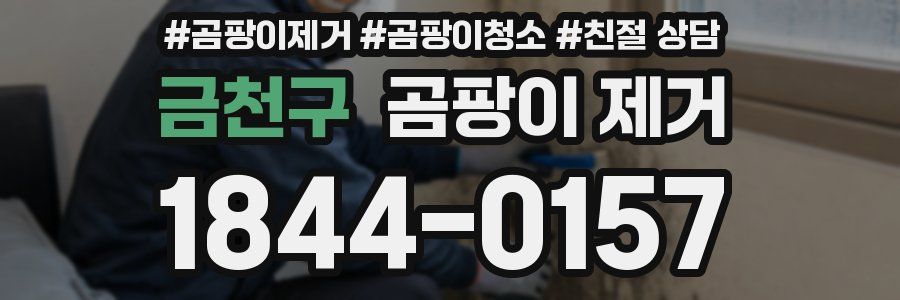 금천구 곰팡이 제거