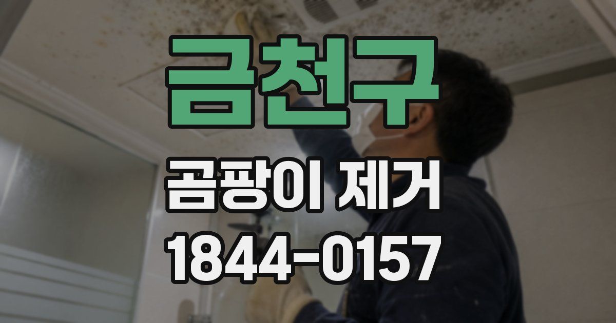 금천구 곰팡이 제거
