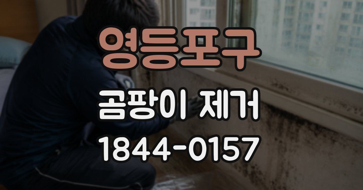 영등포구 곰팡이 제거