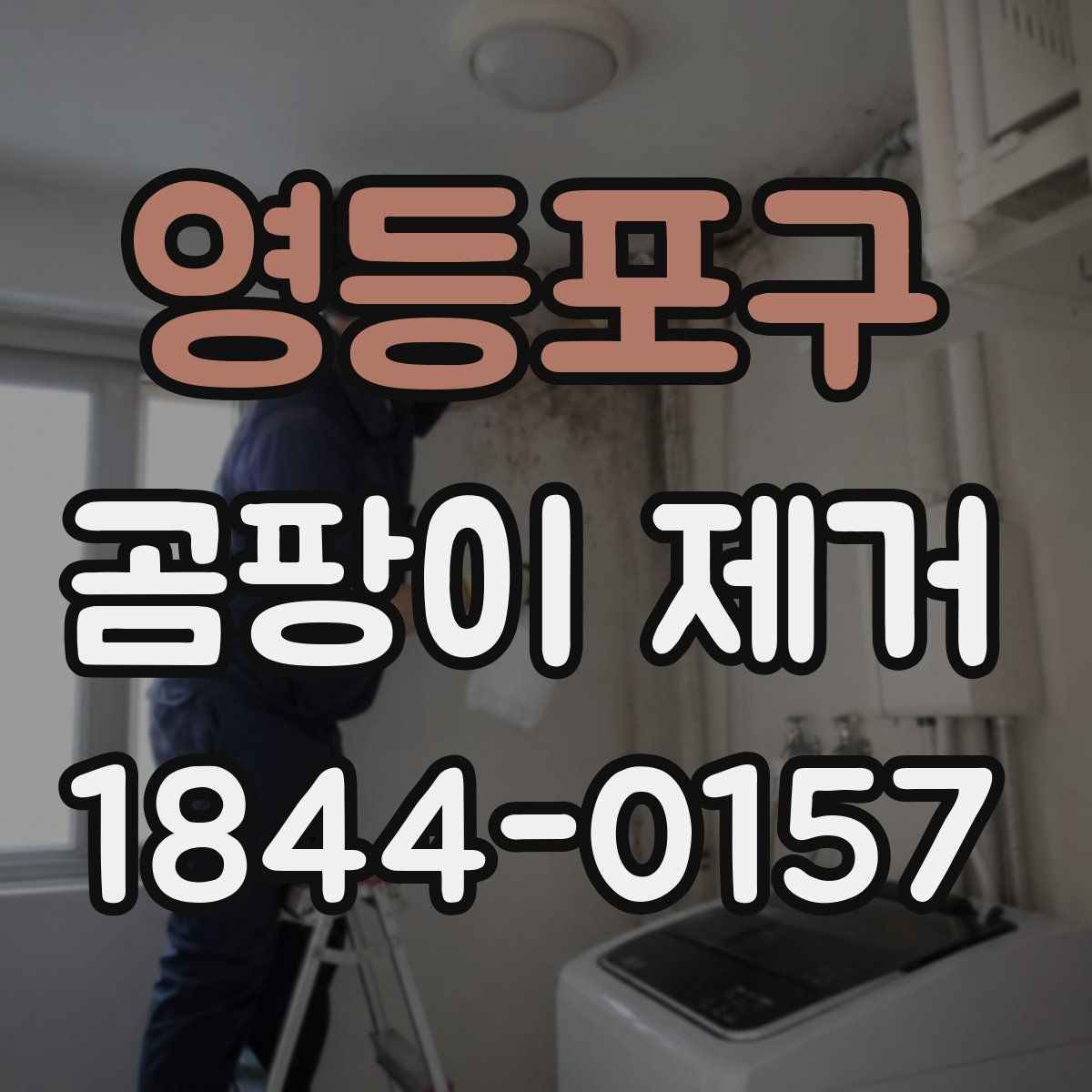 영등포구 곰팡이 제거