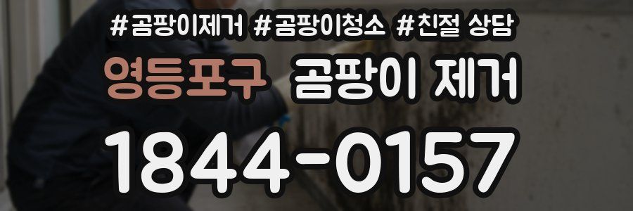 영등포구 곰팡이 제거