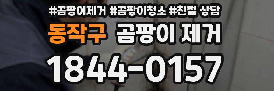 동작구 곰팡이 제거