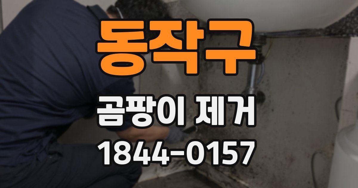 동작구 곰팡이 제거