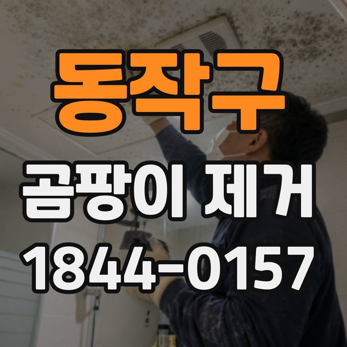 동작구 곰팡이 제거