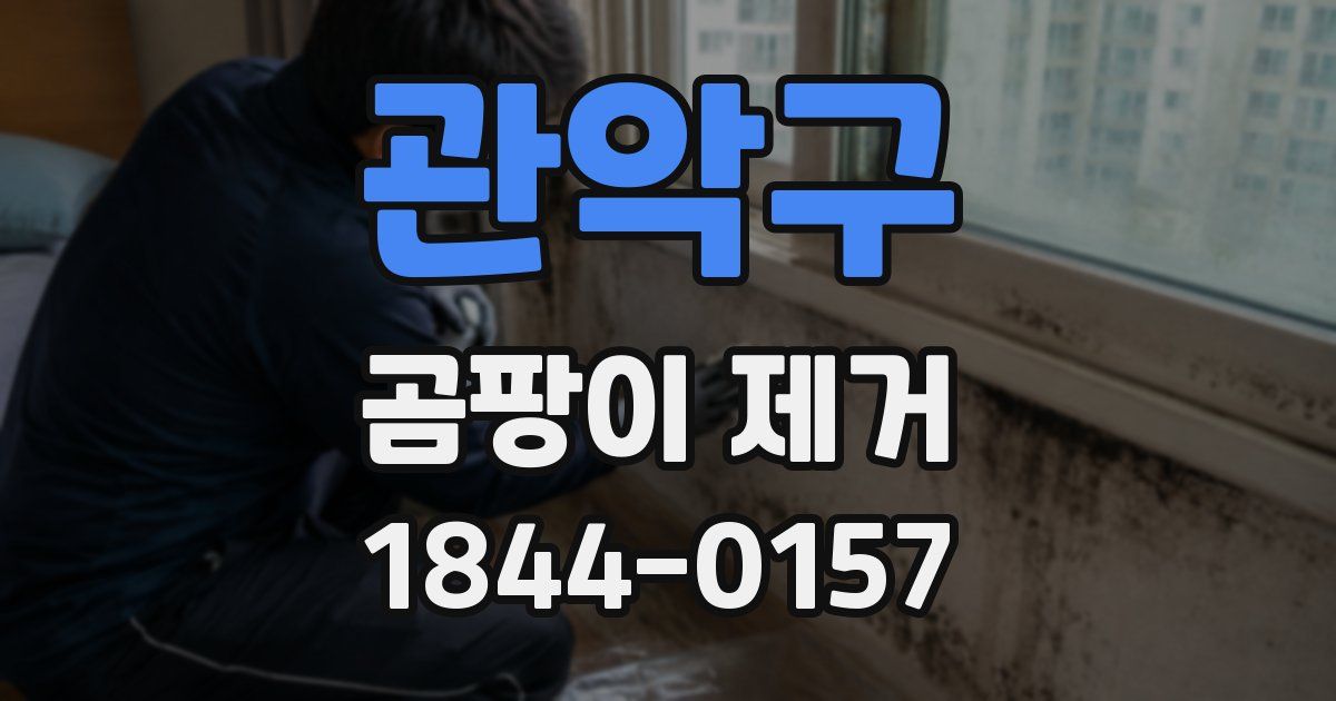 관악구 곰팡이 제거