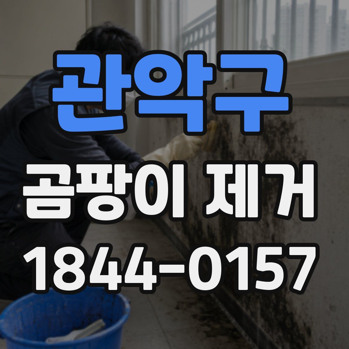 관악구 곰팡이 제거