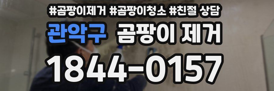 관악구 곰팡이 제거