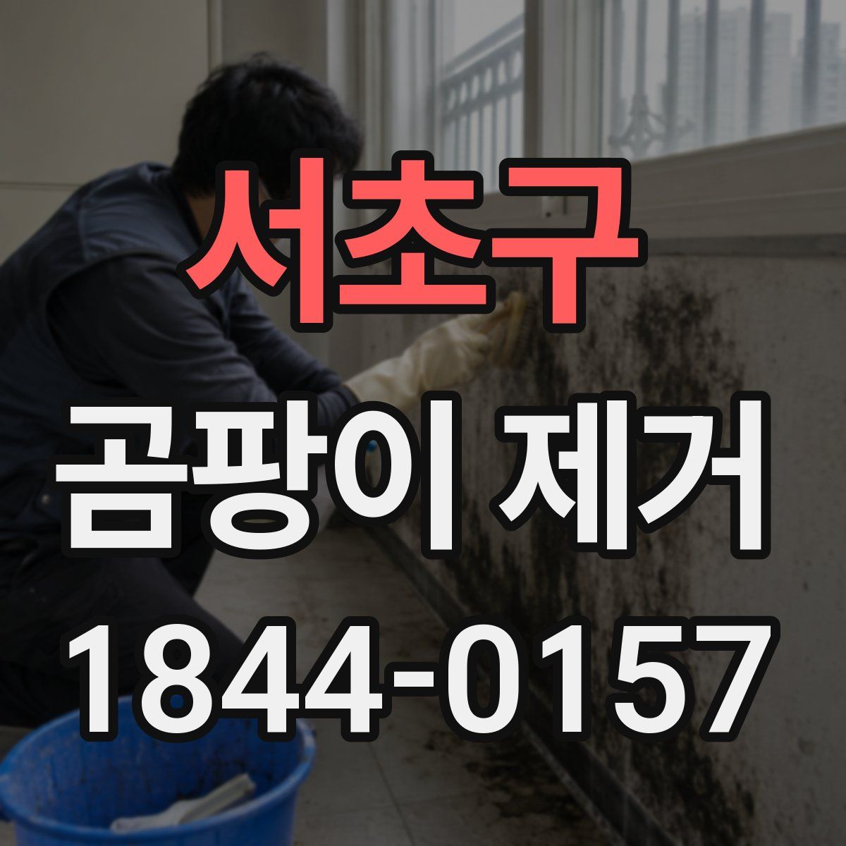 서초구 곰팡이 제거