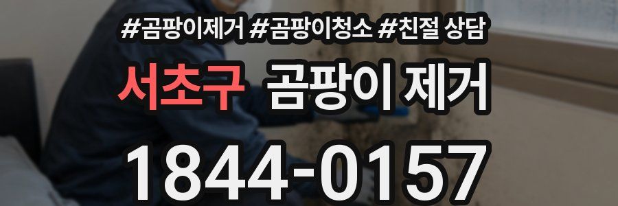서초구 곰팡이 제거