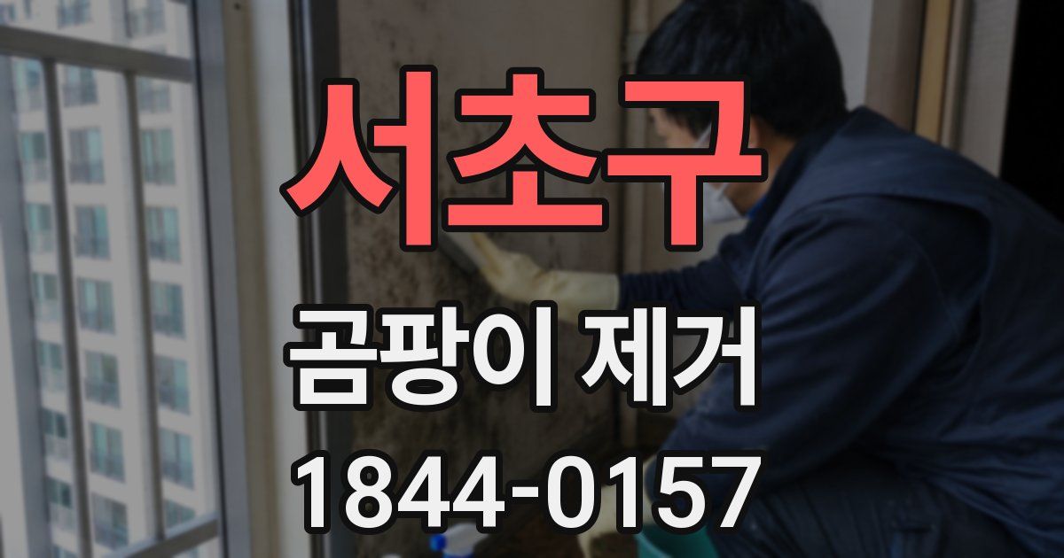 서초구 곰팡이 제거