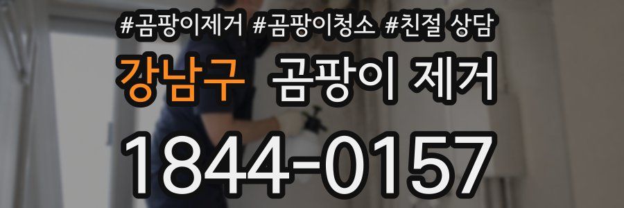 강남구 곰팡이 제거