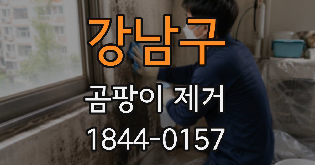 강남구 곰팡이 제거