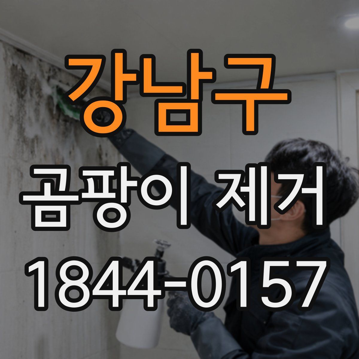 강남구 곰팡이 제거