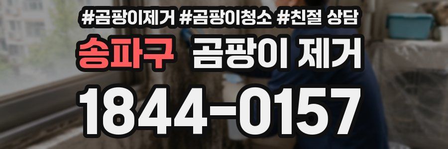 송파구 곰팡이 제거