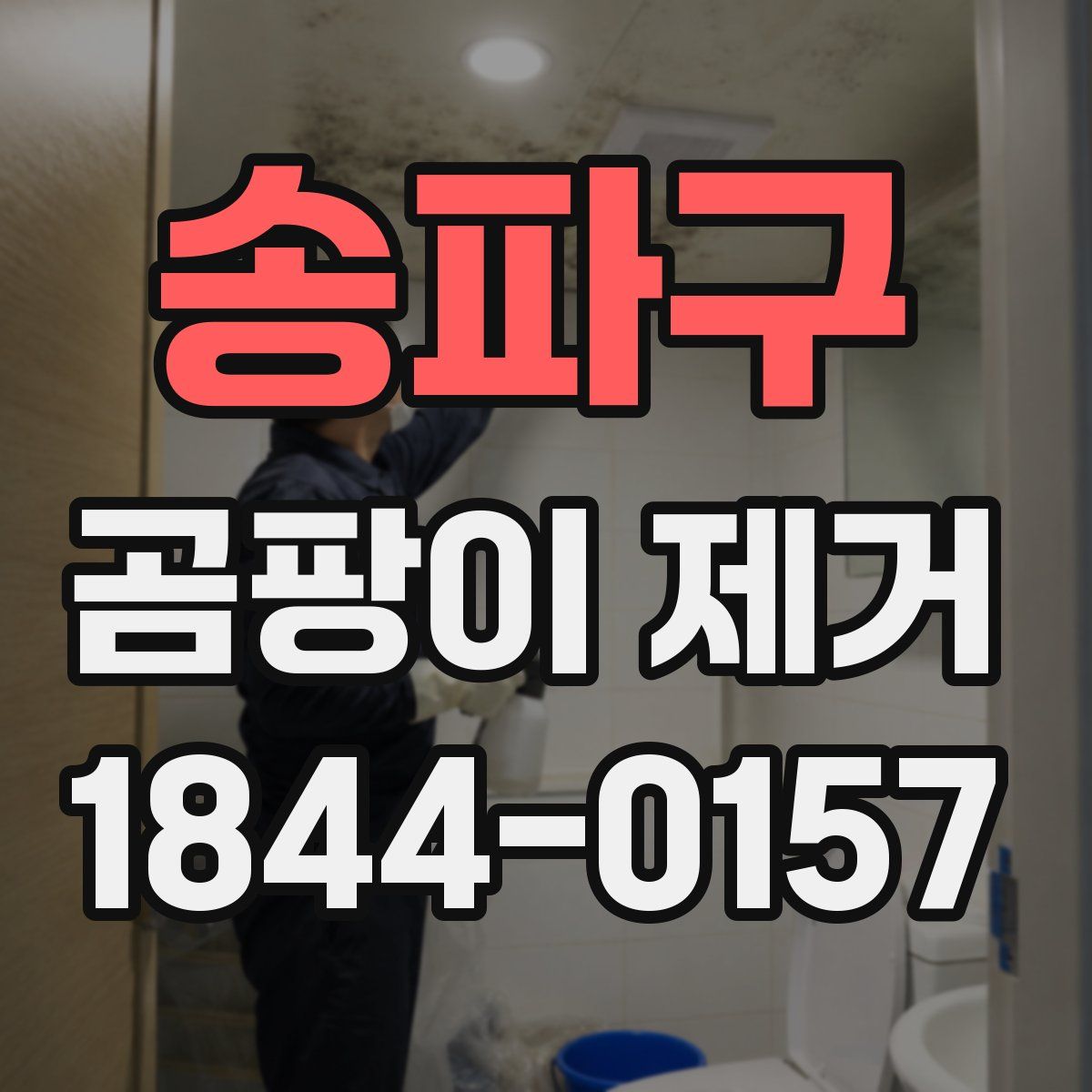 송파구 곰팡이 제거