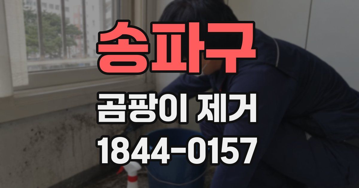 송파구 곰팡이 제거