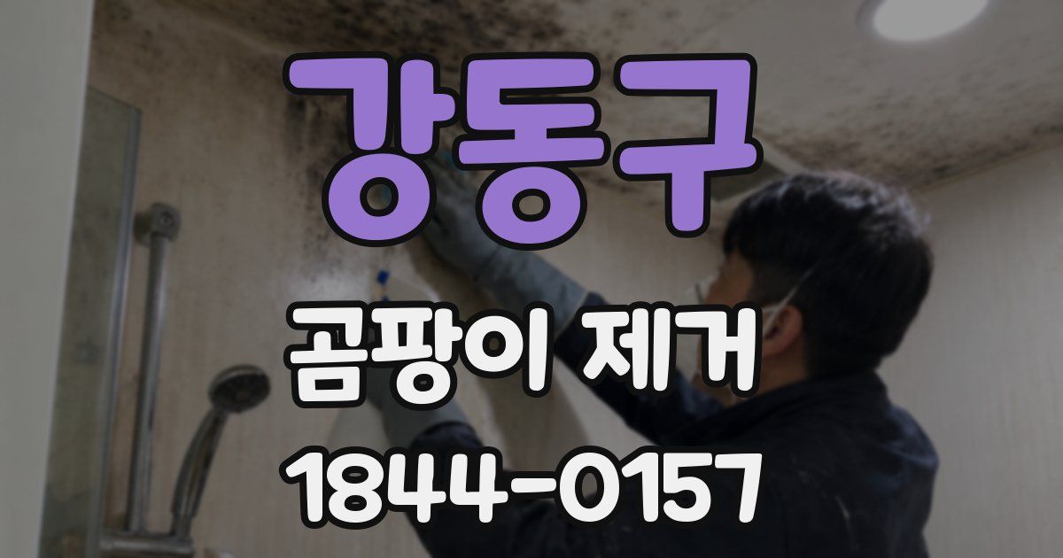 강동구 곰팡이 제거
