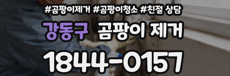강동구 곰팡이 제거