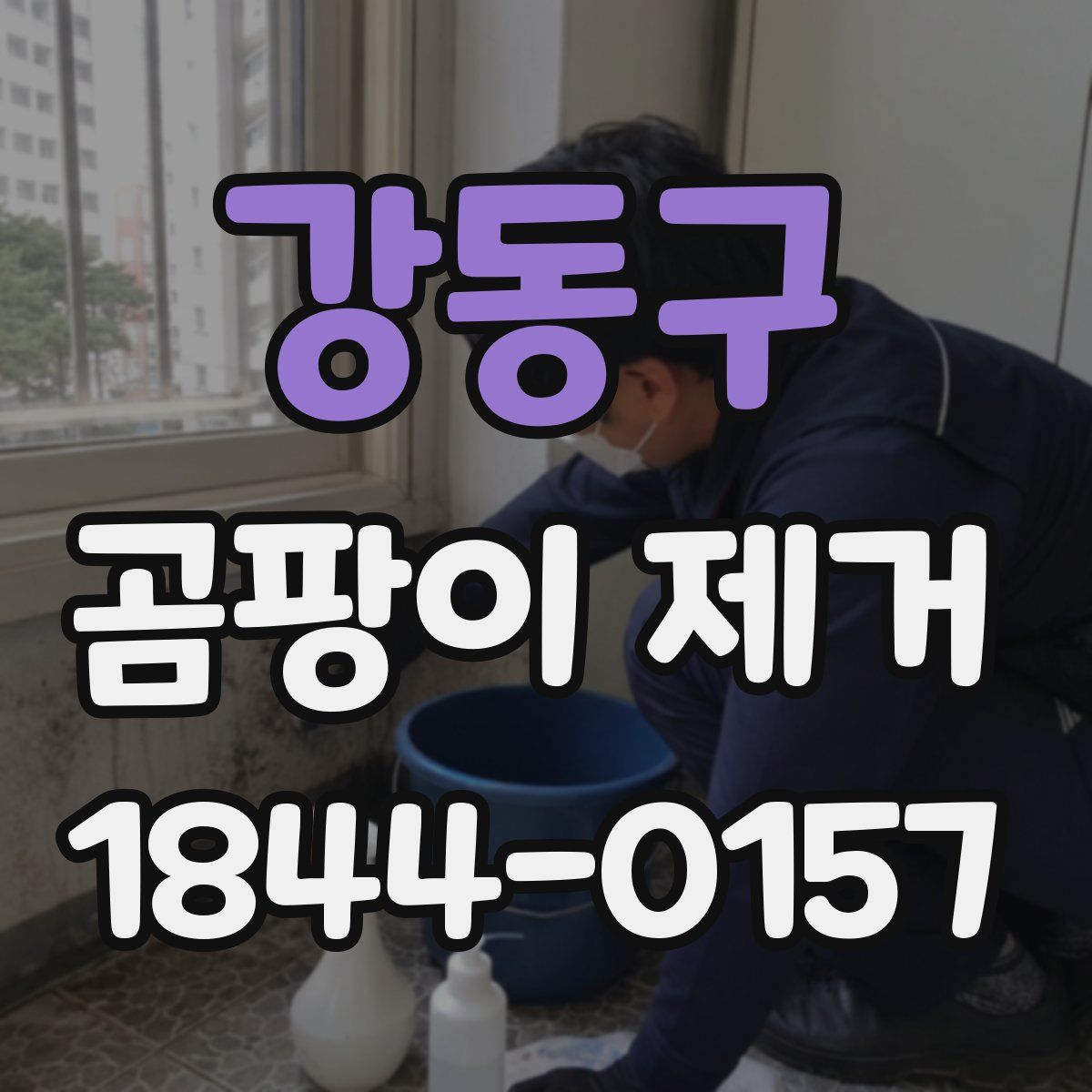 강동구 곰팡이 제거