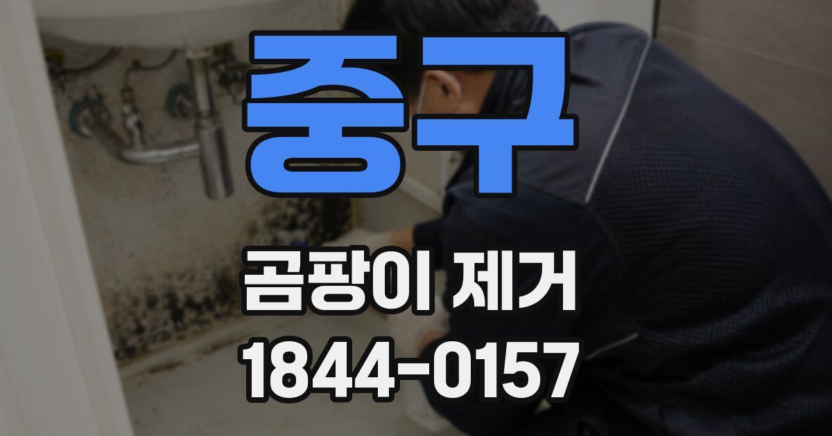 중구 곰팡이 제거